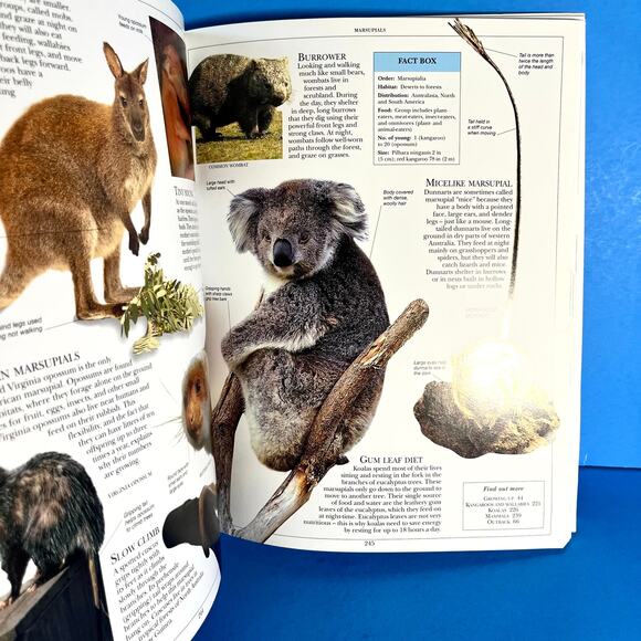 DK Encyclopedia of Animals (2006, Softcover) Stunning Photos, Facts, Reference - Picture 8 of 8